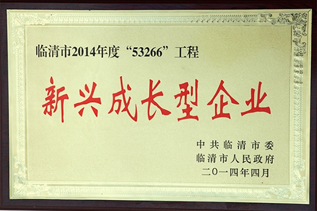 新興成長(zhǎng)企業(yè)